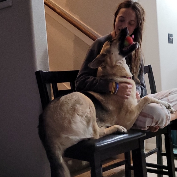 Meet your Posher, Shay - Picture 6 of 6